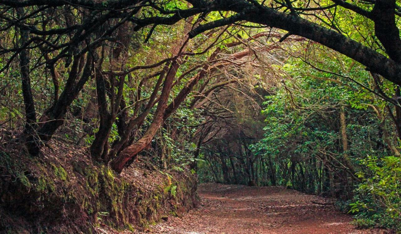 Finca Tropical Arico Viejo Exterior photo